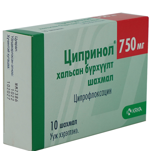 Зураг байхгүй байна